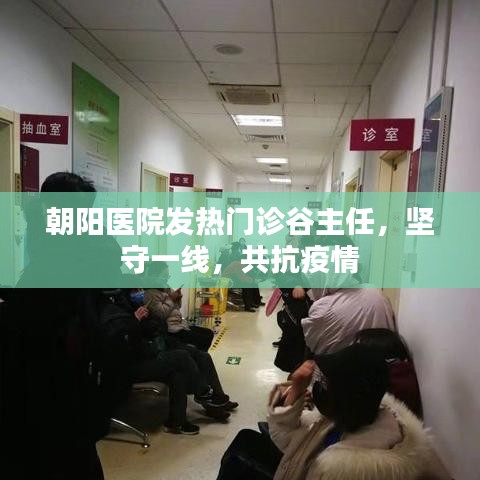 朝陽(yáng)醫(yī)院發(fā)熱門診谷主任堅(jiān)守一線抗疫