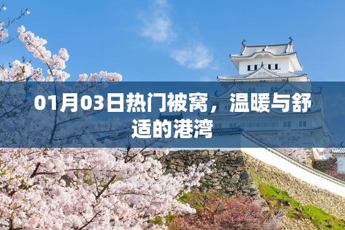 熱門被窩，冬日溫暖的港灣