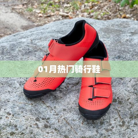 熱門騎行鞋大盤點，一月選購指南