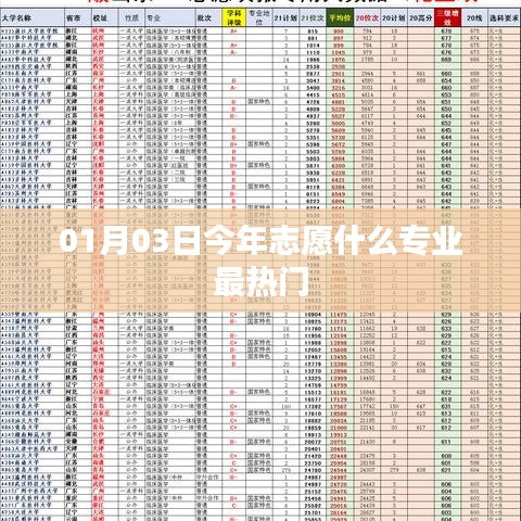 熱門專業(yè)選擇趨勢(shì)分析，最新熱門志愿專業(yè)推薦