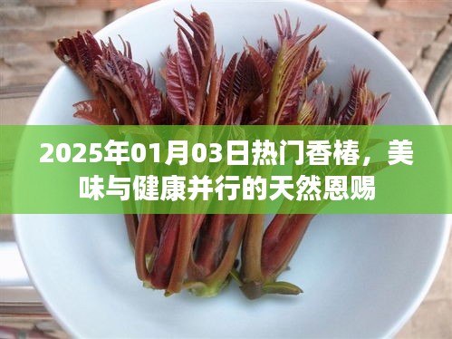 香椿盛宴，美味與健康并行的天然恩賜（2025年）