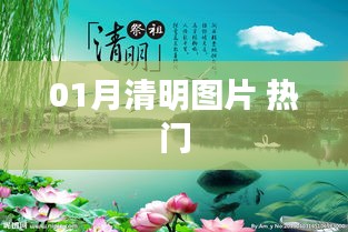 01月清明圖片，精選熱門美圖欣賞