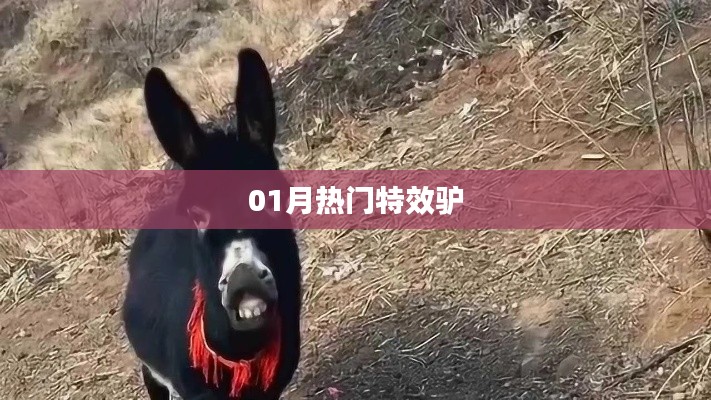 特效驢，揭秘一月熱門潮流元素！