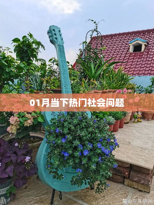 當下熱門社會問題解析