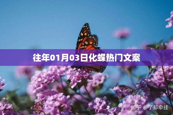 化蝶熱門文案大揭秘，歷年一月初的驚喜瞬間