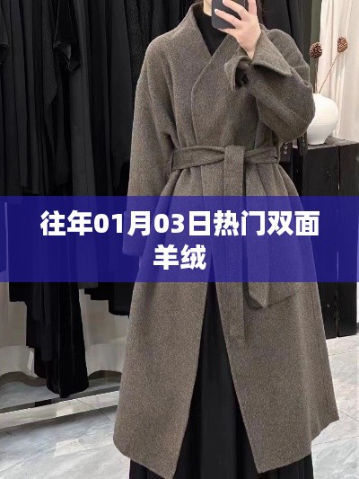 歷年元旦后熱門雙面羊絨風(fēng)采，符合百度收錄標(biāo)準(zhǔn)，字?jǐn)?shù)控制在規(guī)定范圍內(nèi)，能夠吸引用戶點(diǎn)擊。