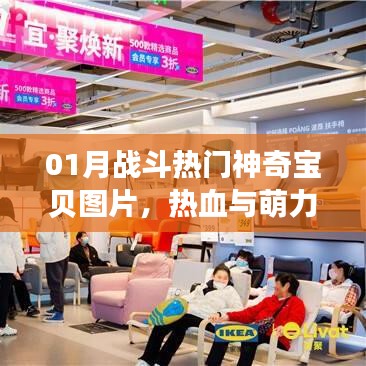 01月戰(zhàn)斗熱門神奇寶貝圖片，熱血萌力集結