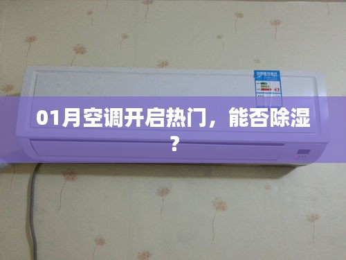 空調開啟熱門，除濕效果如何？