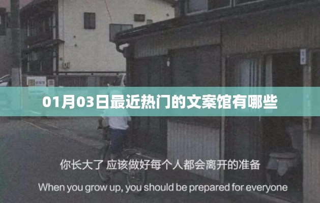 『最新熱門文案館大揭秘，01月03日榜單更新』