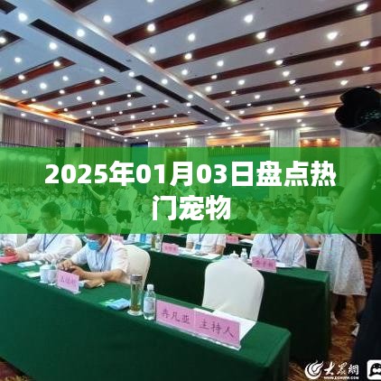 寵物市場盤點，熱門寵物趨勢展望（附日期）