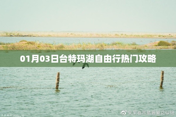 臺(tái)特瑪湖自由行指南，熱門(mén)攻略一網(wǎng)打盡