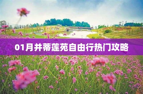 并蒂蓮苑自由行指南，熱門攻略一網(wǎng)打盡！