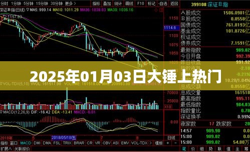 大錘引爆全網(wǎng)熱議，2025年1月3日熱門時(shí)刻