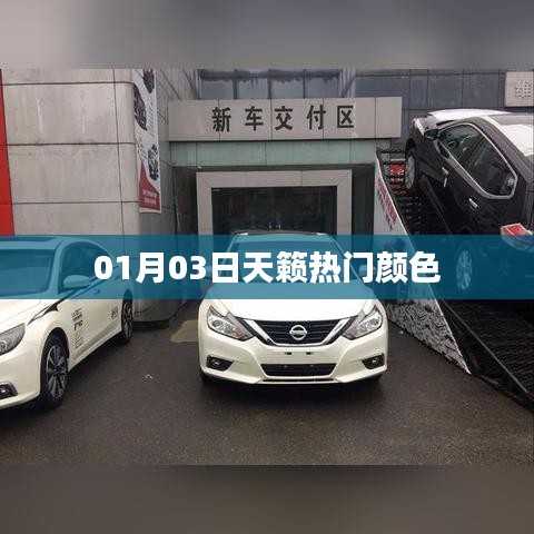 天籟熱門顏色大盤點(diǎn)，時尚之選，不容錯過