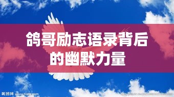 鴿哥勵志語錄背后的幽默力量