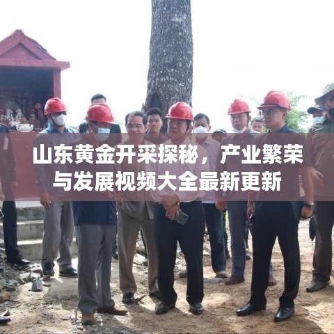 山東黃金開采探秘，產(chǎn)業(yè)繁榮與發(fā)展視頻大全最新更新