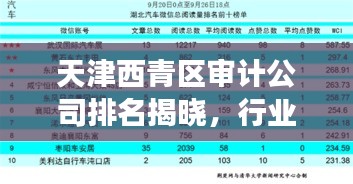 天津西青區(qū)審計(jì)公司排名揭曉，行業(yè)影響力榜單重磅出爐！