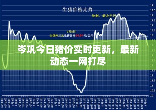 岑鞏今日豬價(jià)實(shí)時(shí)更新，最新動(dòng)態(tài)一網(wǎng)打盡