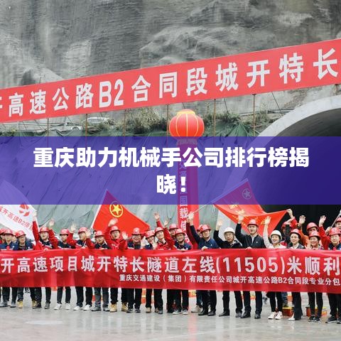 重慶助力機械手公司排行榜揭曉！