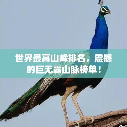 世界最高山峰排名，震撼的巨無霸山脈榜單！