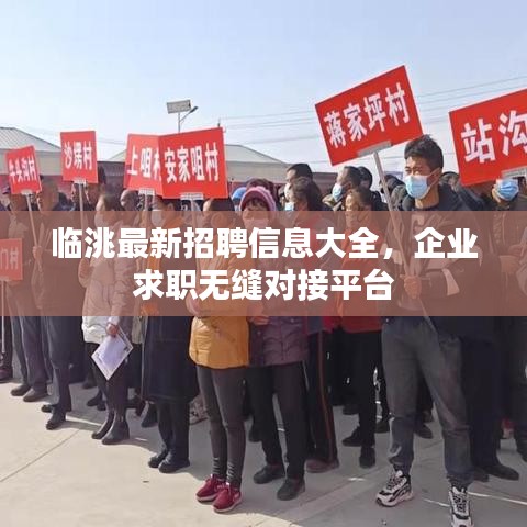 臨洮最新招聘信息大全，企業(yè)求職無縫對接平臺