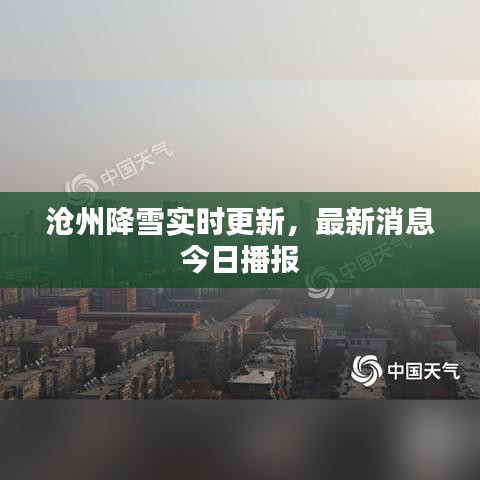 滄州降雪實(shí)時(shí)更新，最新消息今日播報(bào)