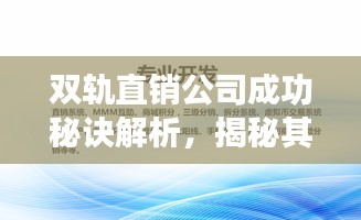 雙軌直銷公司成功秘訣解析，揭秘其排名背后的秘訣