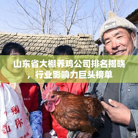 山東省大棚養(yǎng)雞公司排名揭曉，行業(yè)影響力巨頭榜單