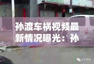 孫渡車禍視頻最新情況曝光：孫渡鎮(zhèn)在哪 