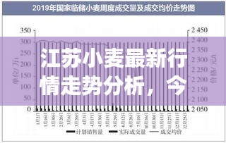 江蘇小麥最新行情走勢(shì)分析，今日市場(chǎng)動(dòng)態(tài)揭秘
