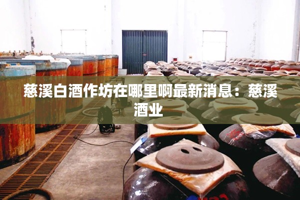 慈溪白酒作坊在哪里啊最新消息：慈溪酒業(yè) 