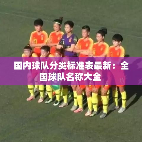 國內(nèi)球隊分類標(biāo)準(zhǔn)表最新：全國球隊名稱大全 