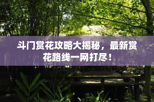 斗門賞花攻略大揭秘，最新賞花路線一網(wǎng)打盡！