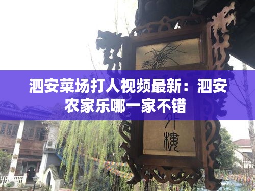 泗安菜場打人視頻最新：泗安農(nóng)家樂哪一家不錯(cuò) 