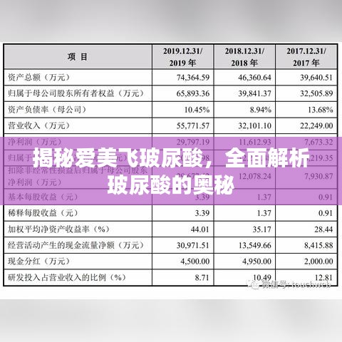 揭秘愛(ài)美飛玻尿酸，全面解析玻尿酸的奧秘
