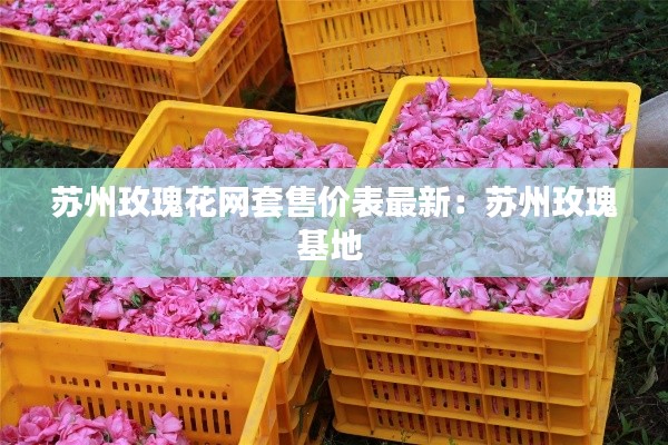 蘇州玫瑰花網(wǎng)套售價表最新：蘇州玫瑰基地 