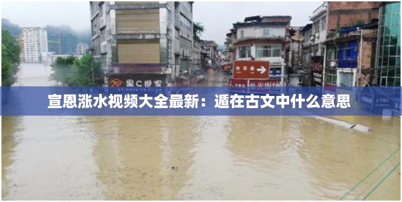 宣恩漲水視頻大全最新：遁在古文中什么意思 