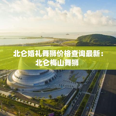 北侖婚禮舞獅價格查詢最新：北侖梅山舞獅 