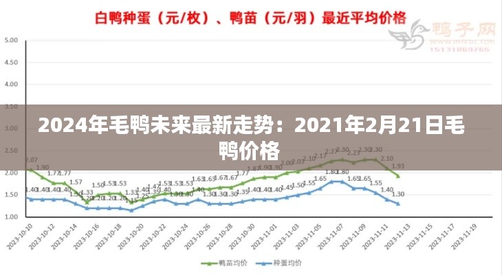 2024年毛鴨未來最新走勢：2021年2月21日毛鴨價(jià)格 