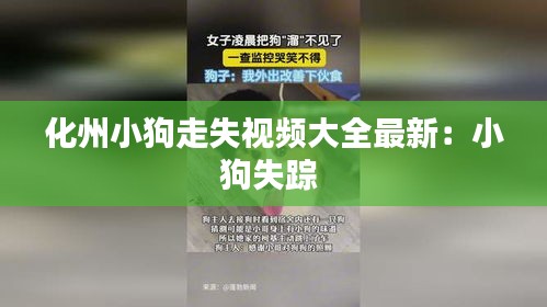 化州小狗走失視頻大全最新：小狗失蹤 