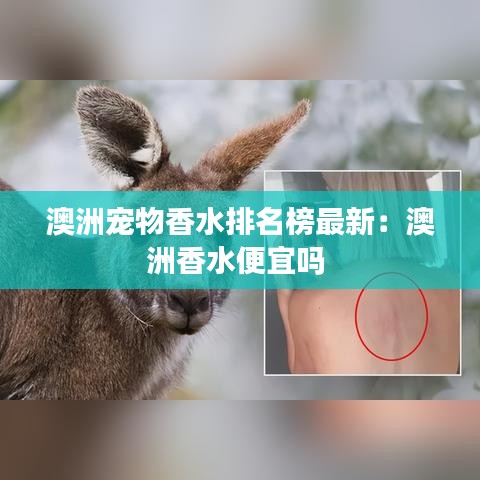 澳洲寵物香水排名榜最新：澳洲香水便宜嗎 