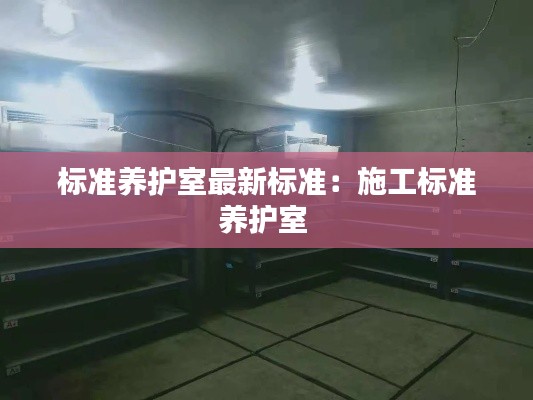 標(biāo)準(zhǔn)養(yǎng)護(hù)室最新標(biāo)準(zhǔn)：施工標(biāo)準(zhǔn)養(yǎng)護(hù)室 