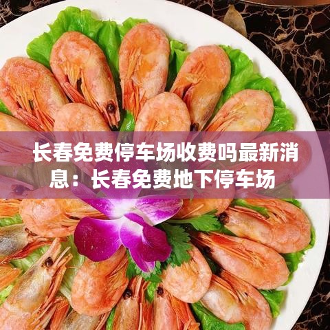 長春免費停車場收費嗎最新消息：長春免費地下停車場 