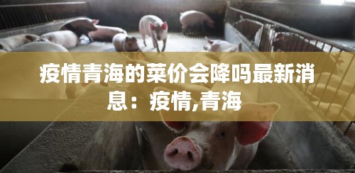 疫情青海的菜價(jià)會(huì)降嗎最新消息：疫情,青海 