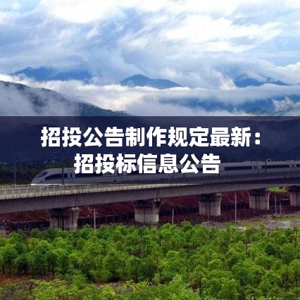招投公告制作規(guī)定最新：招投標信息公告 