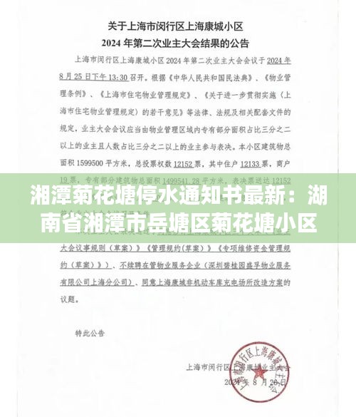 張口結(jié)舌 第3頁