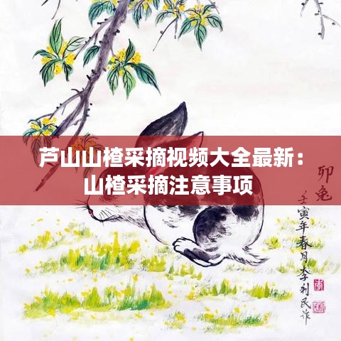 蘆山山楂采摘視頻大全最新：山楂采摘注意事項(xiàng) 