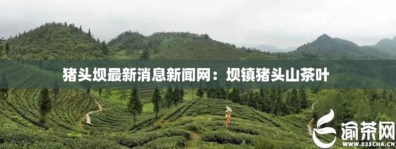 風(fēng)華絕代 第3頁