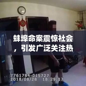 蚌埠命案震驚社會，引發(fā)廣泛關注熱議