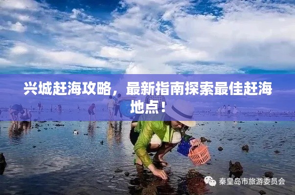 興城趕海攻略，最新指南探索最佳趕海地點(diǎn)！